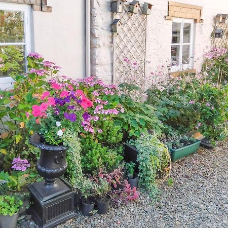 The Tower Cottage Llangollen Εξωτερικό φωτογραφία