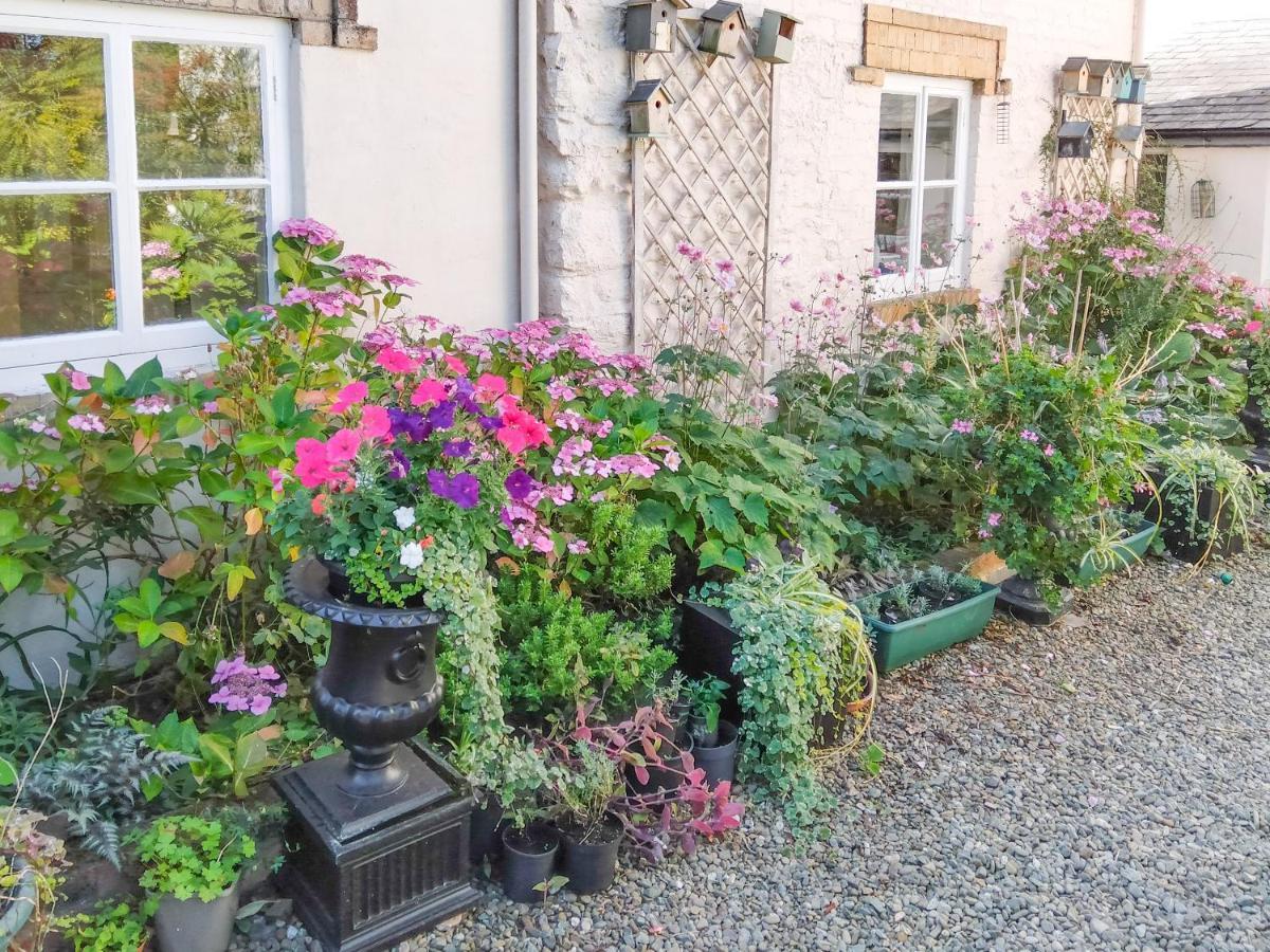 The Tower Cottage Llangollen Εξωτερικό φωτογραφία